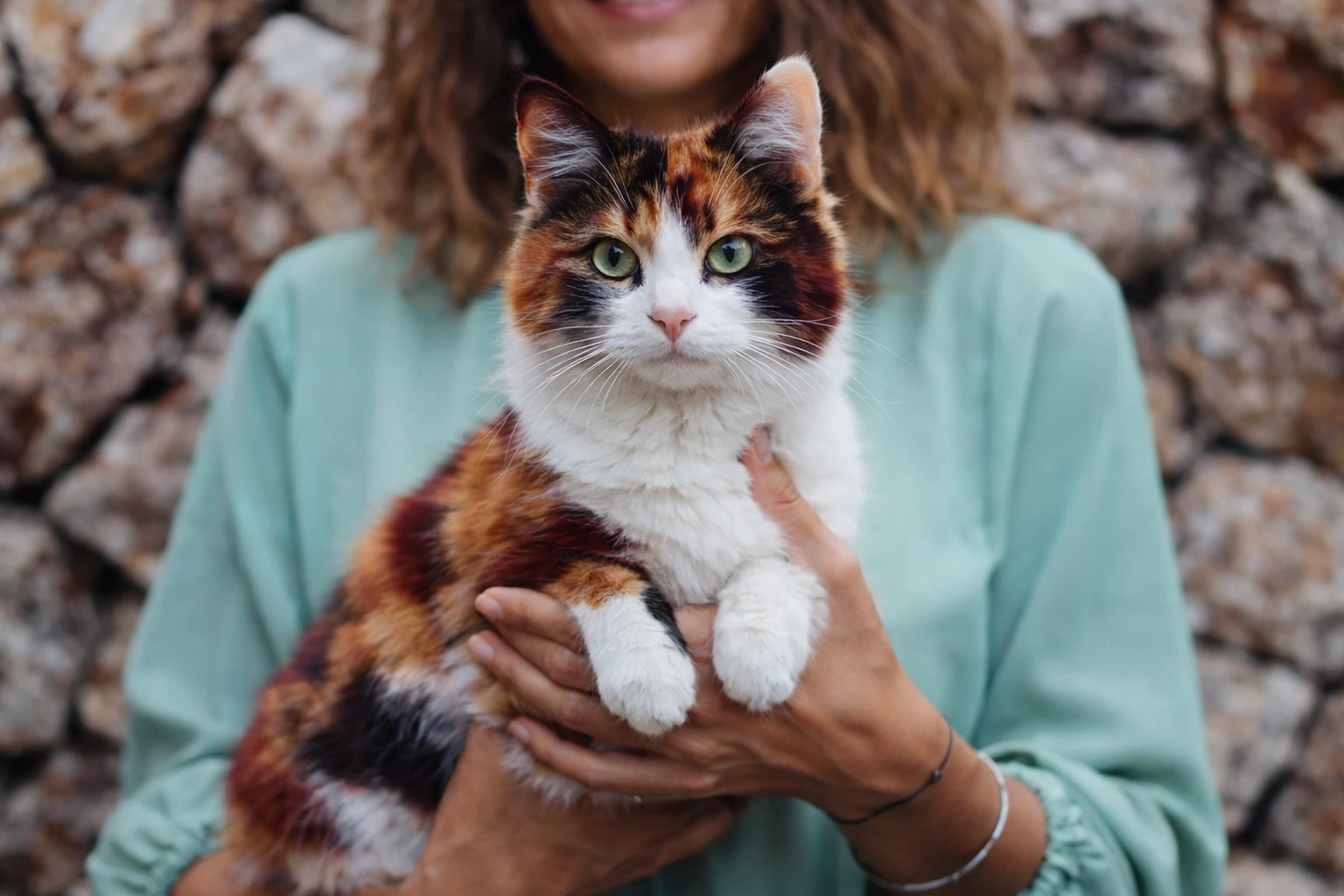 5 Amazing Things You Did Know About Calico Cats