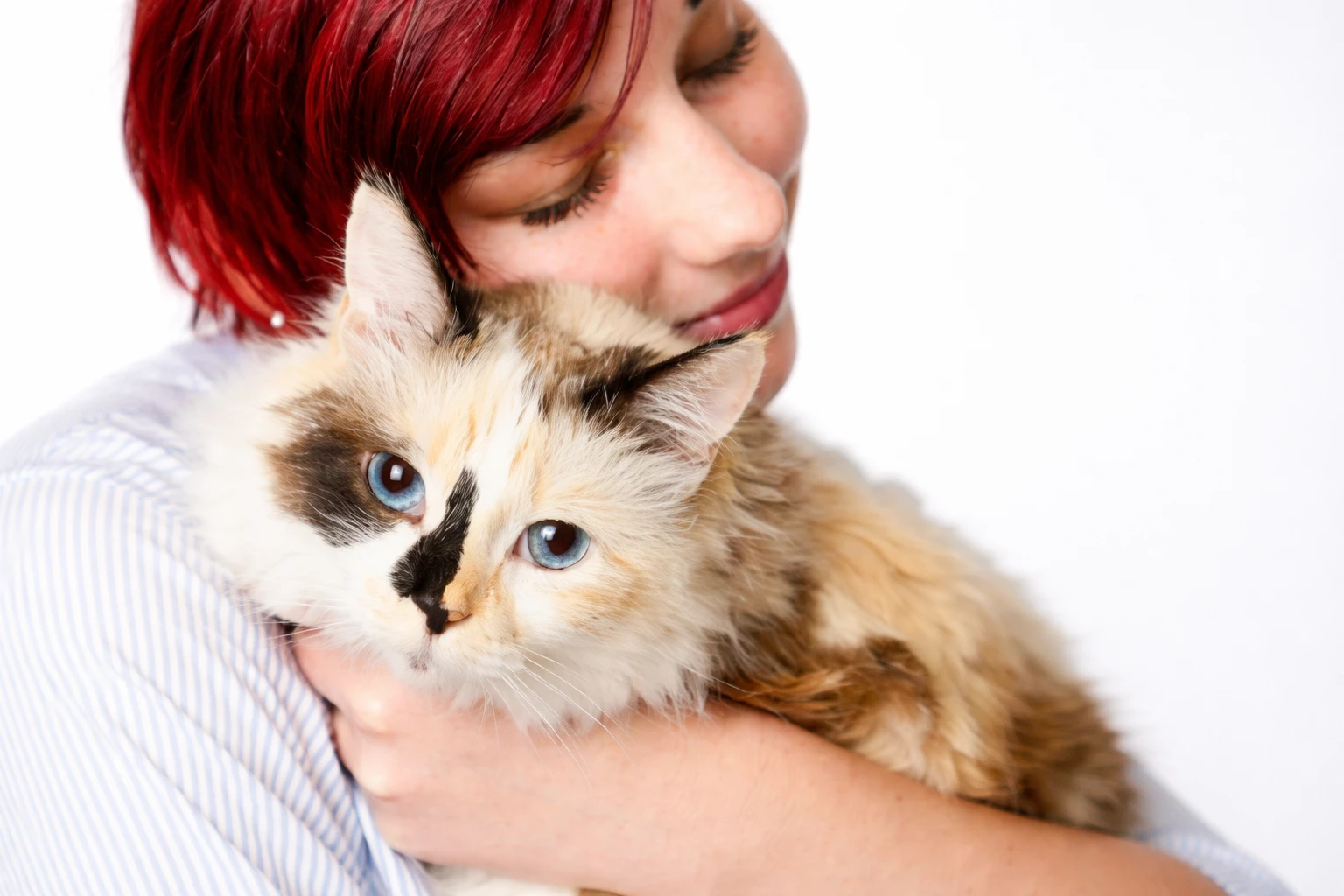 Friendly Affection and Social Behavior & Pet Suitability