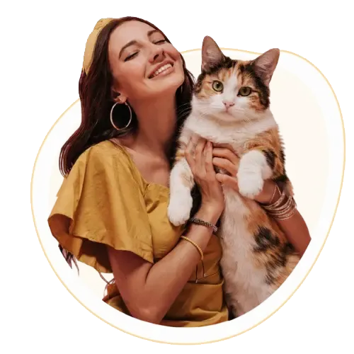 Ultimate Calico Cat Guide for Pet Lovers